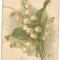 A carte postala(ilustrata) -FELICIATARE -margaritar