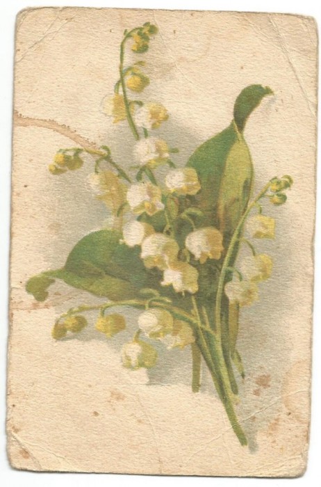A carte postala(ilustrata) -FELICIATARE -margaritar