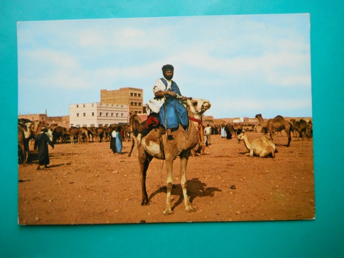 HOPCT 32671 MAROC LUPTATORI DIN SAHARA -NECIRCULATA foto mare HOPCT 32671 MAROC LUPTATORI DIN SAHARA -NECIRCULATA foto mare