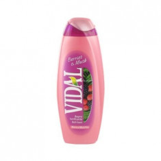 Gel de dus Vidal Berries&amp;amp;amp;Musk, 500 ml foto