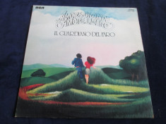 Il Guardiano Del Faro - Amore Grando Amore Libero _ vinyl,LP _ RCA (Italia) foto