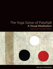 The Yoga Sutras of Patanjali: A Visual Meditation. Book One Samadhi Padah. Paintings, Translation, and Commentary foto