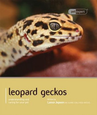 Leopard Gecko foto