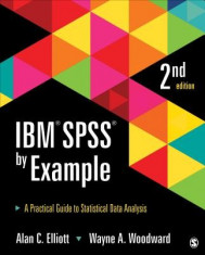 IBM SPSS by Example: A Practical Guide to Statistical Data Analysis foto