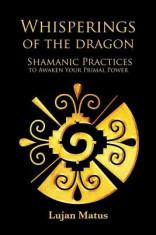 Whisperings of the Dragon: Shamanic Practices to Awaken Your Primal Power foto