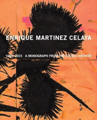 Enrique Martinez Celaya: 1990-2015: A Monograph from the Studio Archive foto