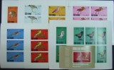 STATE OF OMAN - PASARI, 1968, 8V X 6 IN 8 M/SH + 1 S/S, NEOBLIT - O 25, Fauna