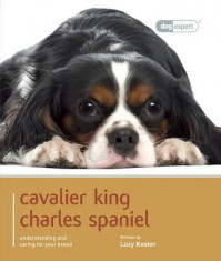 Cavalier King Charles foto