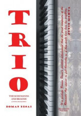 Trio: A Novel Biography of the Schumanns and Brahms foto