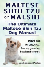 Maltese Shih Tzu or Malshi. the Ultimate Maltese Shih Tzu Dog Manual. Malshi Book for Care, Costs, Feeding, Grooming, Health and Training. foto