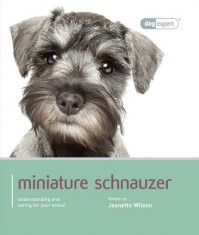 Miniature Schnauzer foto