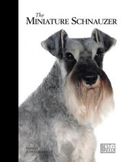 The Miniature Schnauzer foto