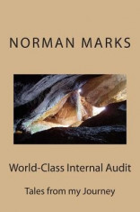 World-Class Internal Audit: Tales from My Journey foto