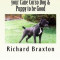 Understanding and Training Your Cane Corso Dog &amp; Puppy to Be Good