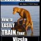 Vizsla Dog Training - Dog Training with the No Brainer Dog Trainer We Make It That Easy! -: How to Easily Train Your Vizsla