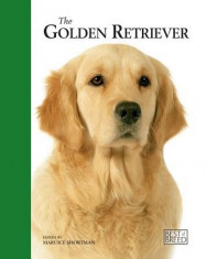 The Golden Retriever foto