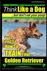 Golden Retriever, Golden Retriever Training AAA Akc Think Like a Dog, But Don&amp;#039;: Here&amp;#039;s Exactly How to Train Your Golden Retriever foto