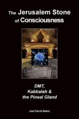The Jerusalem Stone of Consciousness: Dmt, Kabbalah and the Pineal Gland foto