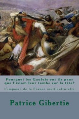 Pourquoi Les Gaulois Ont Ils Peur Que L&amp;#039;Islam Leur Tombe Sur La Tete? foto