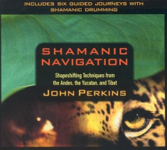 Shamanic Navigation foto