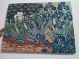 Tablou Reproducere Van Gogh Irisi 32x42cm ulei pe panza