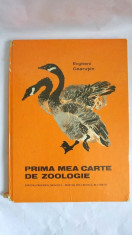 PRIMA MEA CARTE DE ZOOLOGIE, E. Cearusin, ilustratii: Nikita Cearusin, 1980 foto