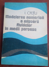 Modelarea numerica a miscarii fluidelor in medii poroase - I. Cretu foto