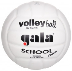 BV5031S School Foam Minge volei n. 5 foto