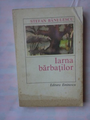 (C345) STEFAN BANULESCU - IARNA BARBATILOR foto