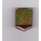 Insigna Pionier Interpret, fara clasa, plastifiata
