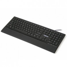 Tastatura Omega Andromeda OK328 Iluminata USB Negru foto