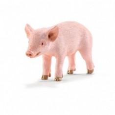 Figurina Schleich - Purcel, Stand in Picioare - 13783 foto