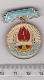 Bnk ins Insigna Pionier de frunte - alama - varianta mica, Romania de la 1950