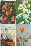 Bnk cp - Lot 12 carti postale - flori
