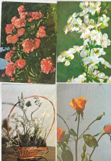 bnk cp - Lot 12 carti postale - flori
