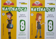 MATEMATICA ALGEBRA GEOMETRIE CLASA A VIII-A - Negrila (2 volume) Consolidare foto