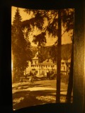 Ilustrata - Vedere din Statiunea Borsec , circulat 1965