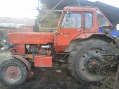 Tractor de vanzare MTZ BELARUS 80 foto