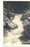 CP Z584-REGIUNEA LACULUI ROSU(GHILCOS)CASCADELE-,,FOTOFILM&quot;CLUJ 1937-NECIRCULATA