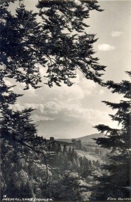 CP Z570 -PREDEAL, SPRE CIOPLEA-FOTO BUCEGI - INTERBELICA - NECIRCULATA foto