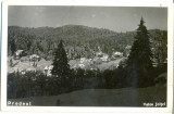 CP Z537 -PREDEAL -VALEA JOITEI -CIRCULATA 9 FEBRUARIE 1939, CATRE ,,KISINAU&quot;