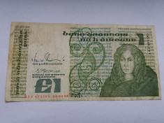 Irlanda 1 lira-pound 1988 foto