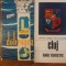 Ghid Dobrogea + Cluj / R3P5F