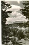 CP Z548 - PREDEAL -FOTO BUCEGI -NECIRCULATA