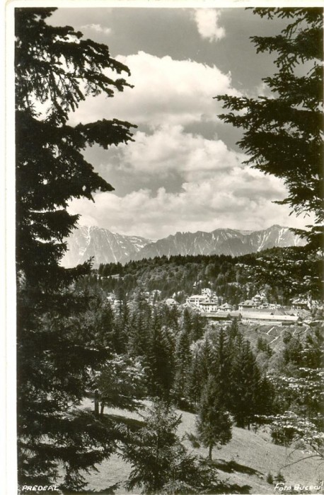 CP Z548 - PREDEAL -FOTO BUCEGI -NECIRCULATA