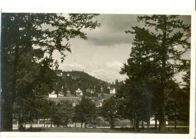 CP Z549 - PREDEAL-VEDERE SPRE TITI-FOI(FITIFOI ?) -FOTO BUCEGI -NECIRCULATA foto