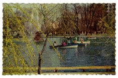 BUCURESTI lacul Cismigiu barca RPR COLOR margine dintata foto