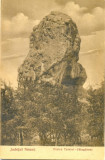 CP Z546 - JUDETUL NEAMT - PIATRA TEIULUI-CALUGARENI -NECIRCULATA-EDITATA 1935, Fotografie