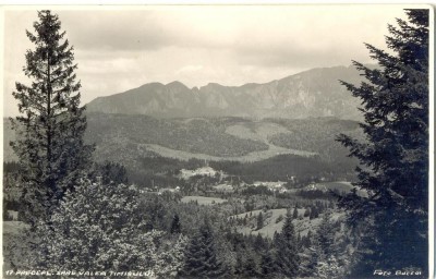 CP Z571 -PREDEAL, SPRE VALEA TIMISULUI -FOTO BUCEGI - INTERBELICA - NECIRCULATA foto