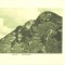 CP Z572 -INEUL - KUHHORN -DEP. G. ZIKELI, BISTRITA-BISTRITZ -1925 - NECIRCULATA